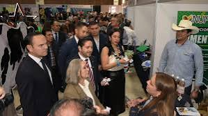 Asistentes conversando en el área de networking del pabellón